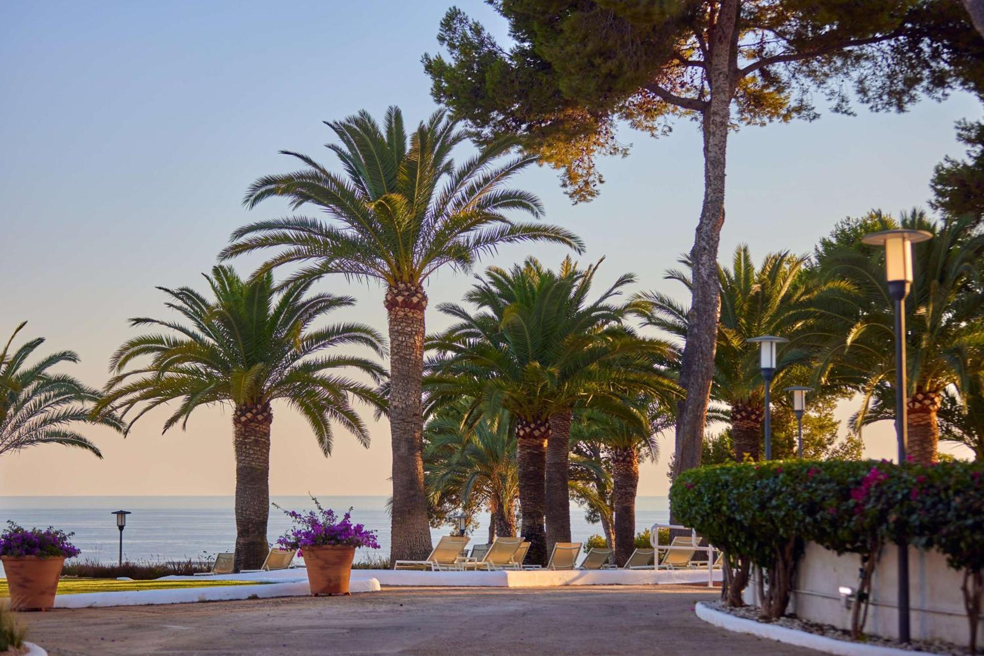 Hilton Mallorca Galatzo Peguera Exterior photo Palm trees in the resort